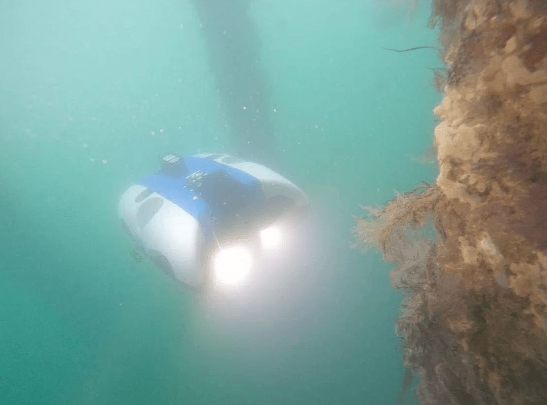 Vessel Inspection (ROV)